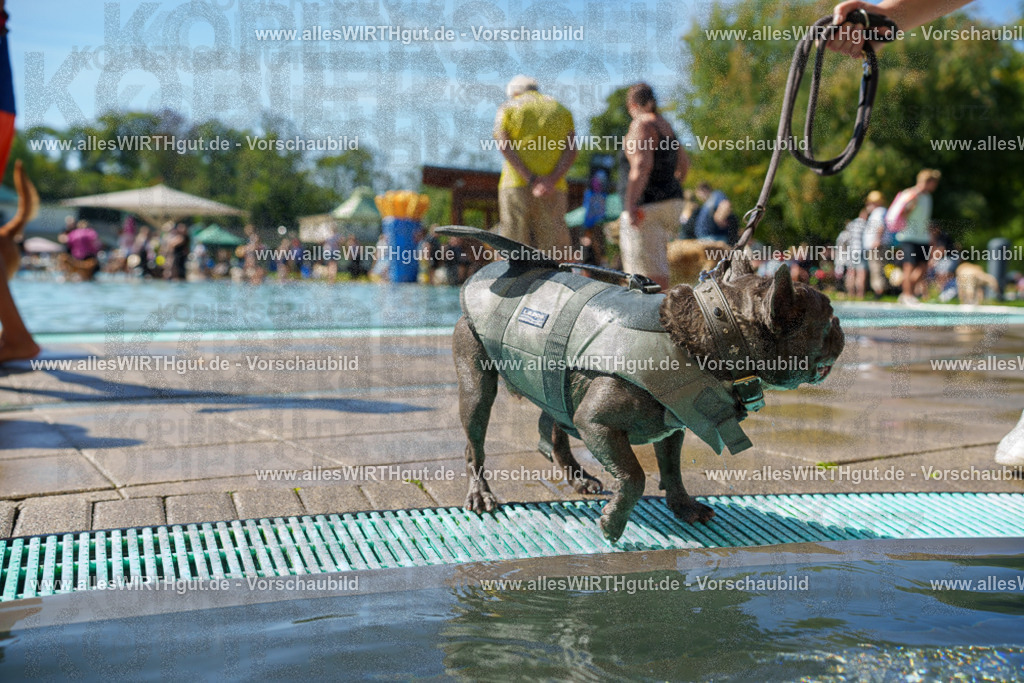 allesWIRTHgut Tierfotografie - allesWIRTHgut.de - 7IV08526 | Professionelle Tierfotografie in Mönchengladbach von Daniel Wirth (allesWIRTHgut). Liebevolle & natürliche Bilder von Hunden & Katzen für unvergessliche Erinnerungen.