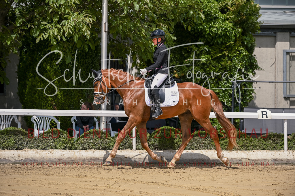 Schugtsche-Aluta25-48.Reitpferfdeprf.-288 | Schugtsche Fotografie - Realisiert mit Pictrs.com