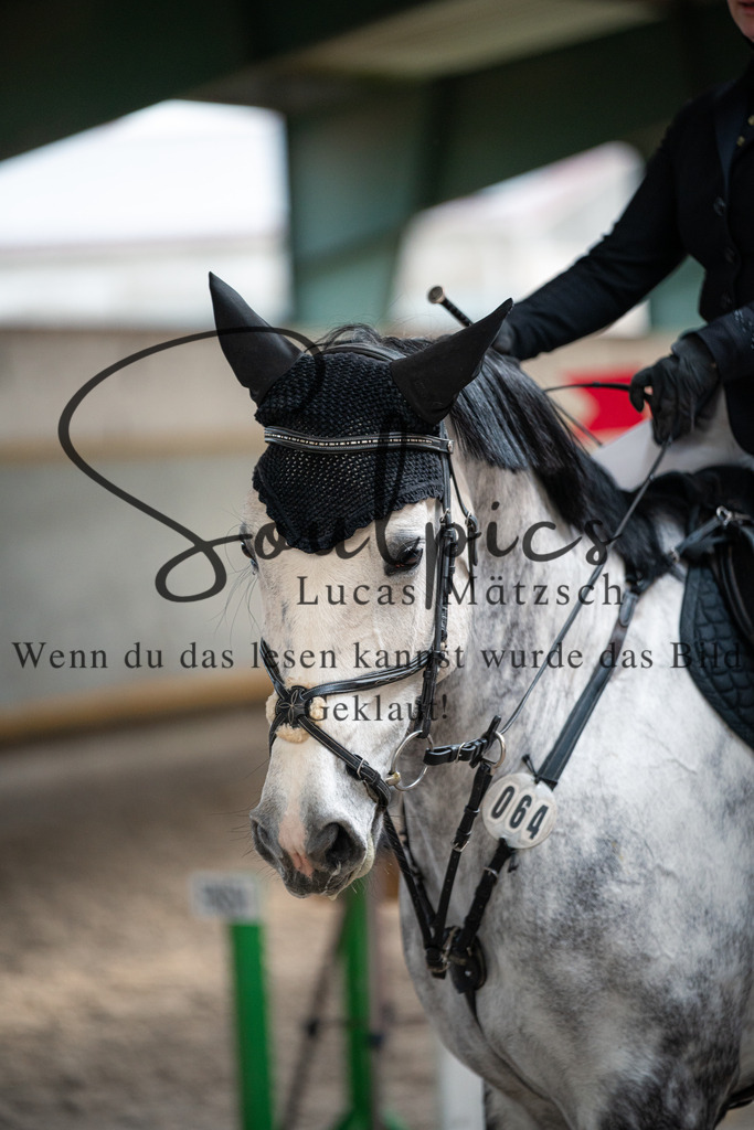 A7V03529 | Pferdefotograf