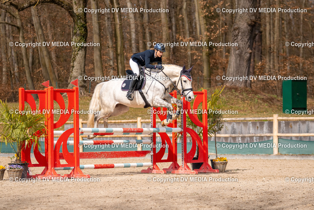 Kranichstein Tag 1-700 | dv-media-shop - Realisiert mit Pictrs.com