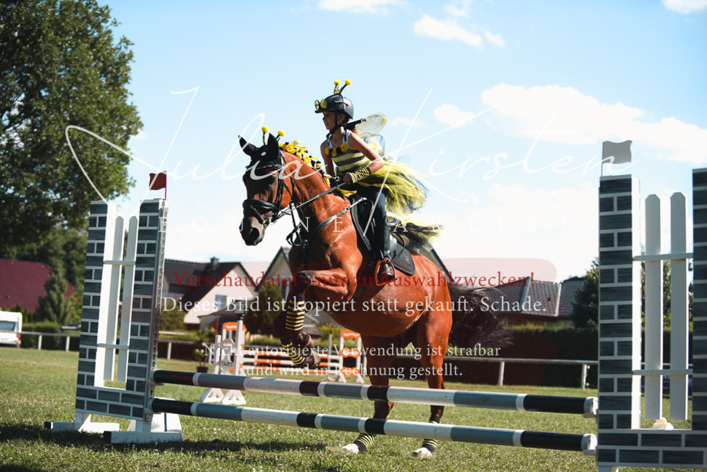 DSC_7480 | Pferde- und Turnierfotografie in Westsachsen. Pferdeportraits, Auftragszeichnungen und intuitive Kunst.