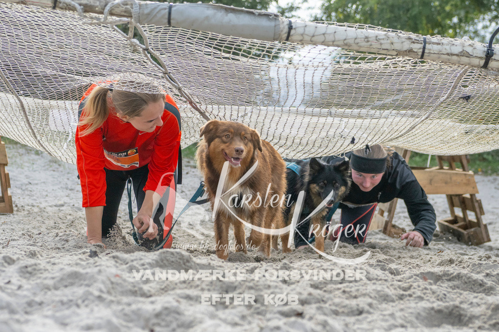 1150_ZZ99333 | kk-dogfotos
