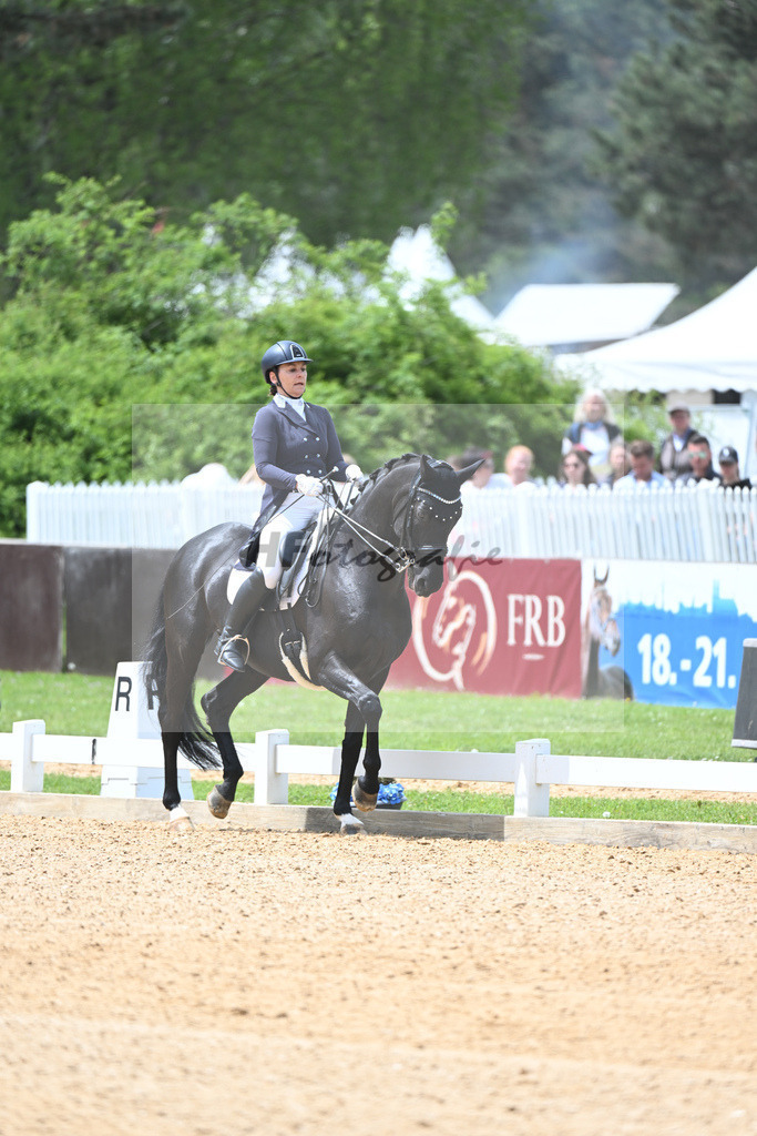 Borgmann-Reuter_Sanrico_11233643 | hf-fotografie - Realisiert mit Pictrs.com