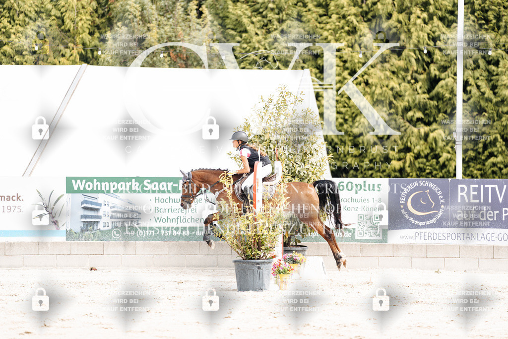 CK906421 | Turnierfotografie Pferdefotografie Trier Rheinland-Pfalz Pferdesport Reitsport Tierfotografie Sportfotografie Pferdevideo Pferdevideografie Equestrianvideography equestrianphotography  - Realisiert mit Pictrs.com