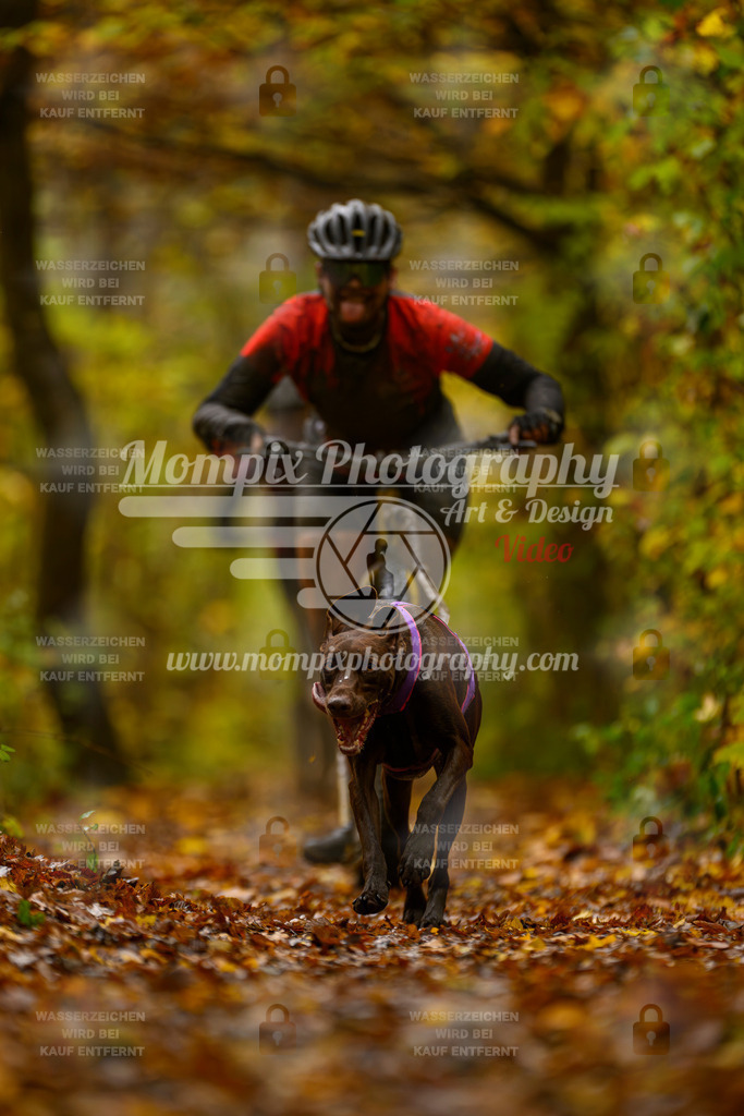 MompixPhotography_CD7S_DI_DS-9 | mompixphotography