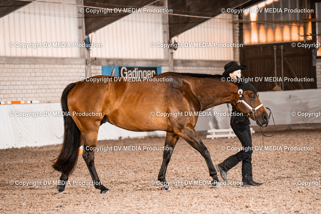 ZH200102 | dv-media-shop - Realisiert mit Pictrs.com