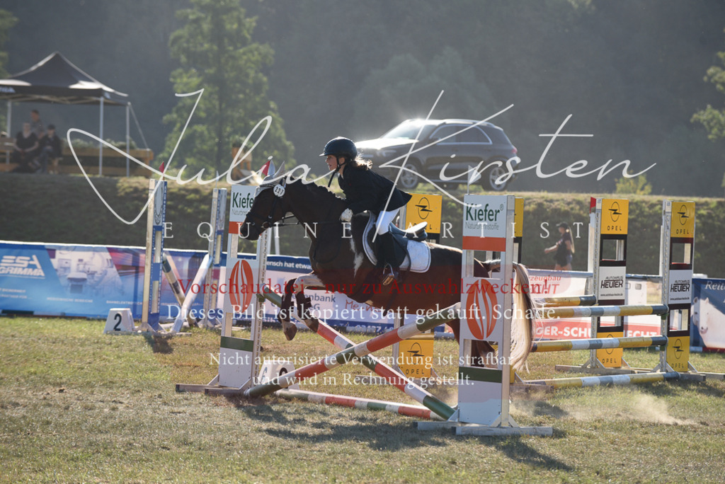 DSC_5597 | Pferde- und Turnierfotografie in Westsachsen. Pferdeportraits, Auftragszeichnungen und intuitive Kunst.