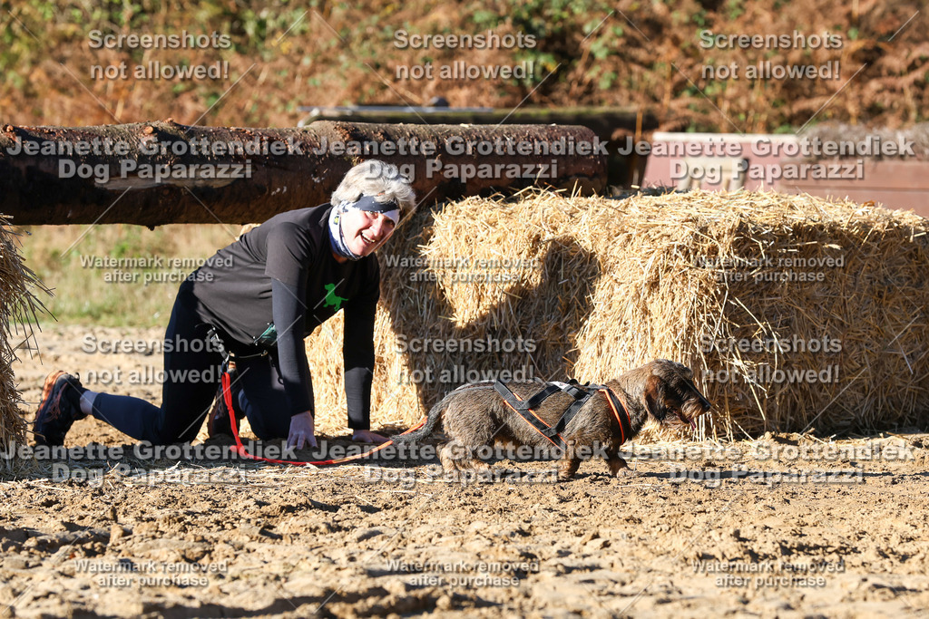 Dog Paparazzi - Strongdog 10-25-1595 | Dog Paparazzi Jeanette Grottendiek Fotografie & Videografie - Realisiert mit Pictrs.com