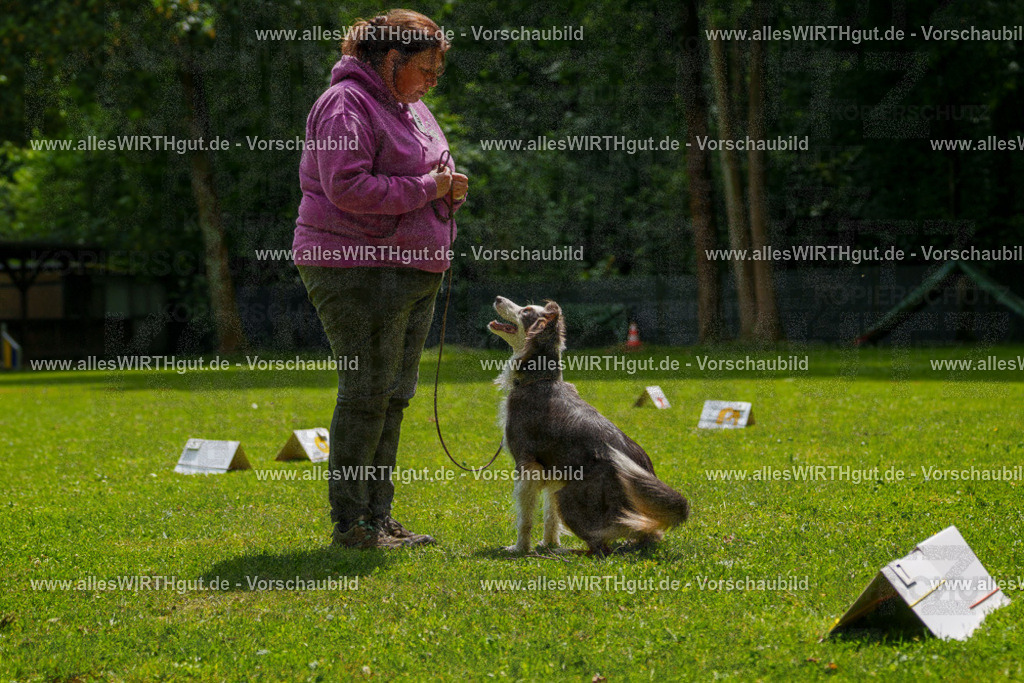 @allesWIRTHgut_Tierfotografie - www.allesWIRTHgut.de - 7R504899 | Professionelle Tierfotografie in Mönchengladbach von Daniel Wirth (allesWIRTHgut). Liebevolle & natürliche Bilder von Hunden & Katzen für unvergessliche Erinnerungen.