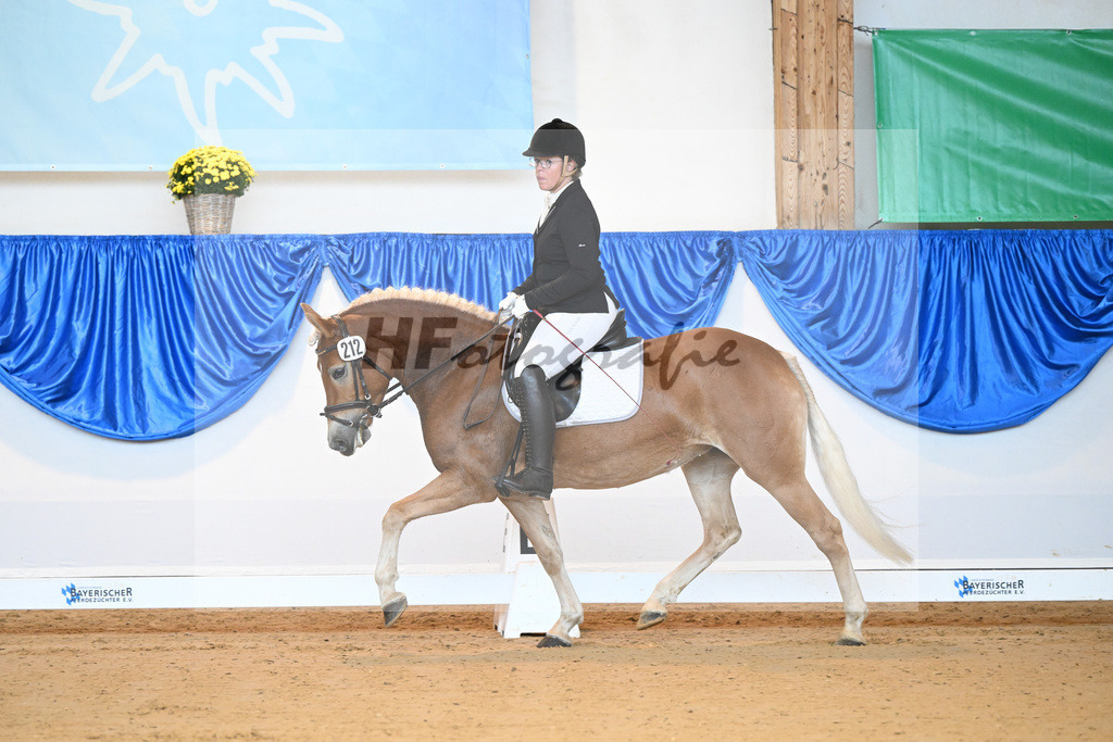 Kat-Nr. 212 Eyra_ZG Wolfgramm_54221618 | hf-fotografie - Realisiert mit Pictrs.com