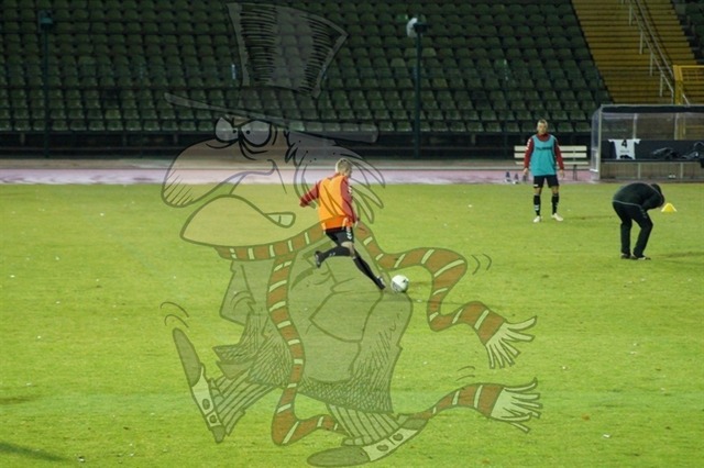 BFC Dynamo vs. ZFC Meuselwitz 017 | mythos-online-redaktion