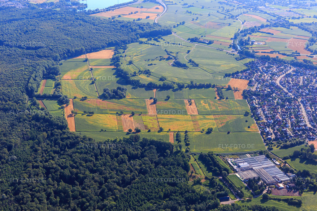 Luftbild: Spuren von Trockenschäden auf Feldern am Bienwald in Hagenbach im Bundesland Rheinland-Pfalz in Deutschland. Foto: IMG_084049.jpg vom 26.07.2015 durch Werner Riehm/FLY-FOTO.de