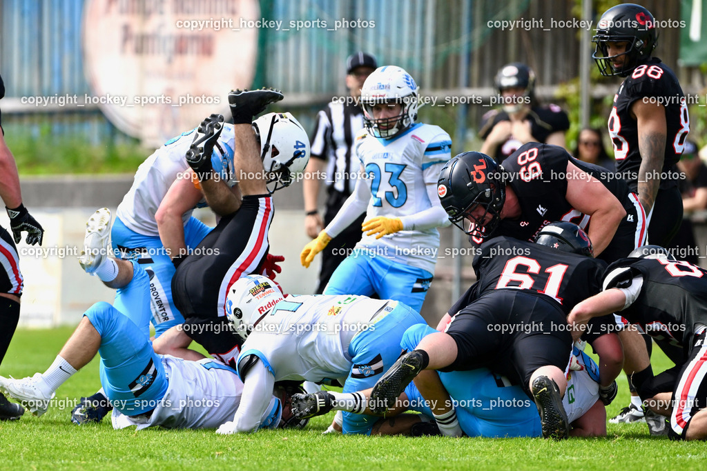 Carinthian Lions vs. Styrian Bears | Carinthian Lions vs. Styrian Bears, Carinthian Lions vs. Styrian Bears am 20.05.2024 in Klagenfurt (ASV Sportplatz), Austria, (Photo by Bernd Stefan)