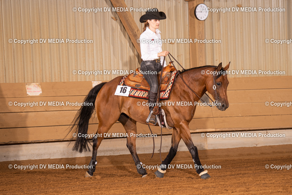 NID01193 | dv-media-shop - Realisiert mit Pictrs.com