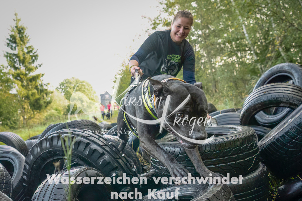 1028_ZZ94477-Bearbeitet | kk-dogfotos