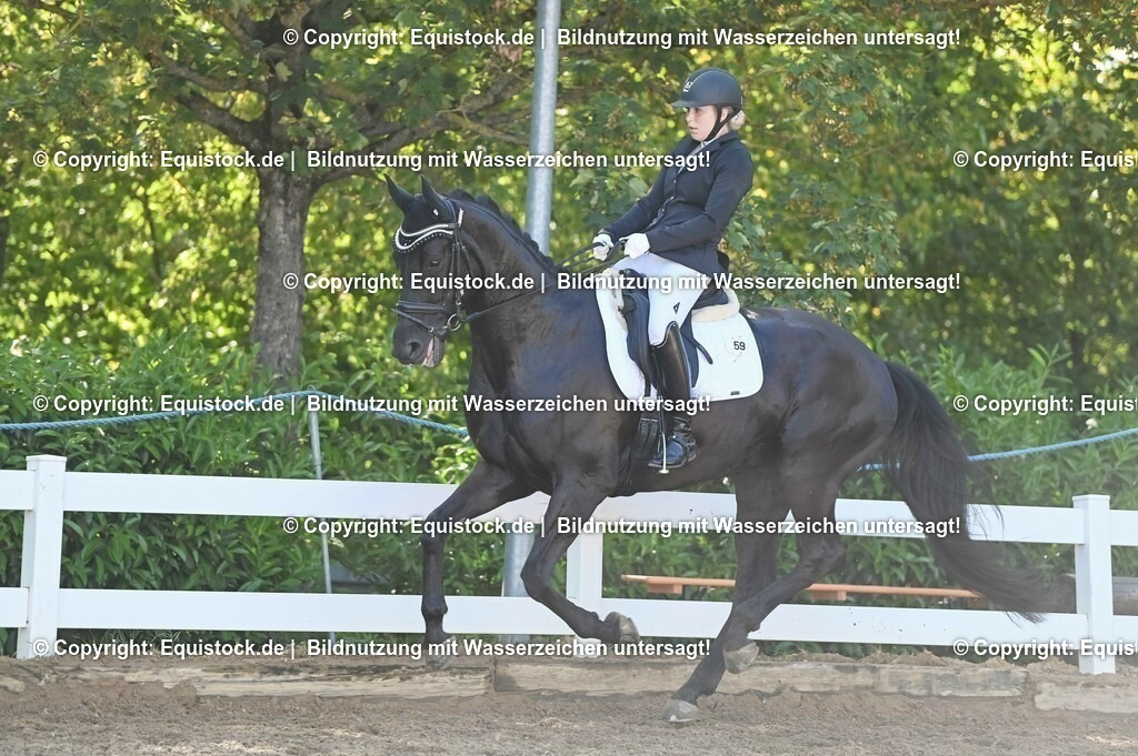 20230715_06_Dressurpferdeprfg. Kl.A_0103 | equistock