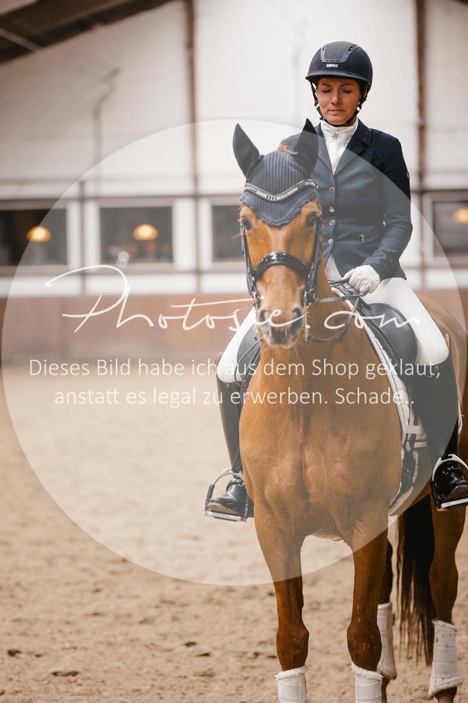 3I6A9111 | Stimmungsvolle Portraits und Reitsportfotografie im Ruhrgebiet und im Münsterland.

Pferdefotografie, Hundefotografie, Tierfotografie, Reportagen, Portraits von Tier und Mensch, Turnierfotografie in Bochum, Recklinghausen, Marl, Haltern am See, Dülmen.. - Realisiert mit Pictrs.com
