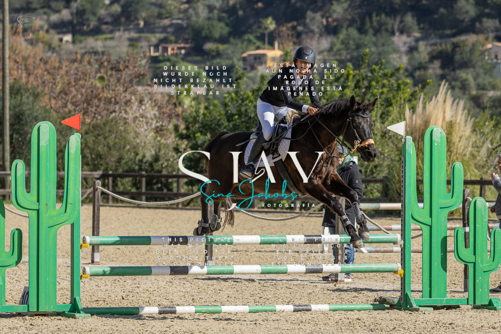 IMG_6249 | s-jay-photography - Realisiert mit Pictrs.com