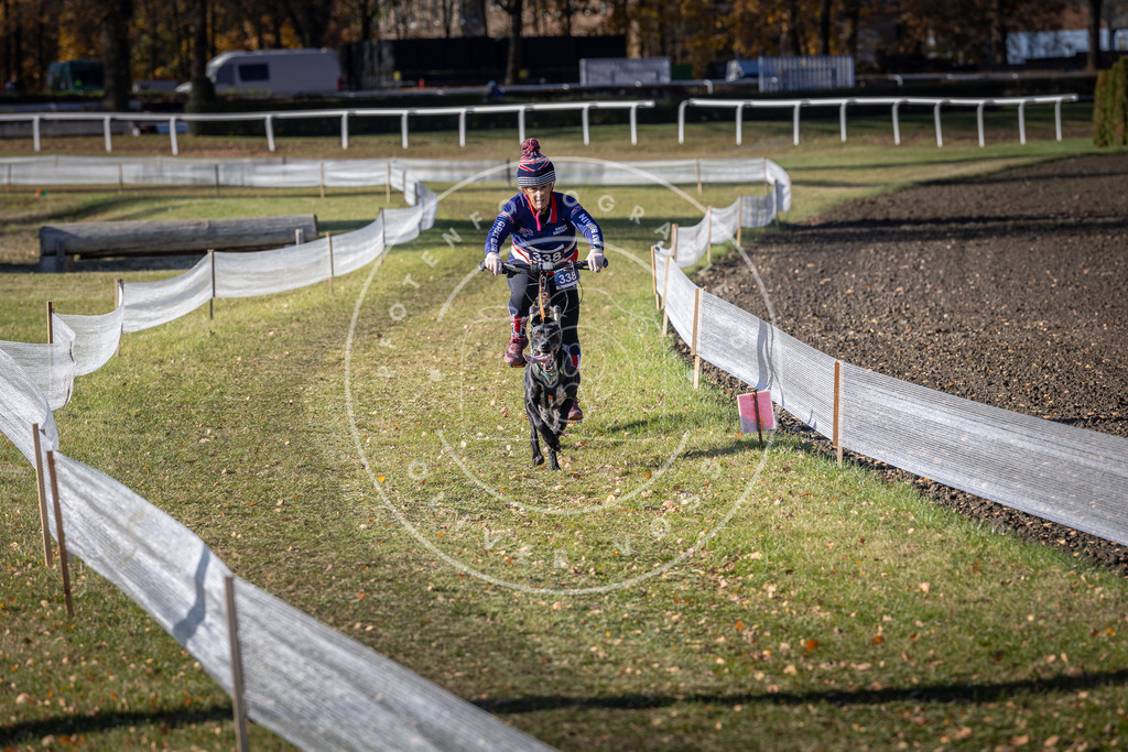 CaniXpix_DV3A6850 | Hundefotografie, Tierfotograf, Pfotenfotografie, Fotoshooting Hund, Hunde Portrait, Hundesport, Hundeportraits, Heideshooting, Hunde, Sportfotograf, Hundefotograf, Turnierhundsport, THS,  - Realisiert mit Pictrs.com