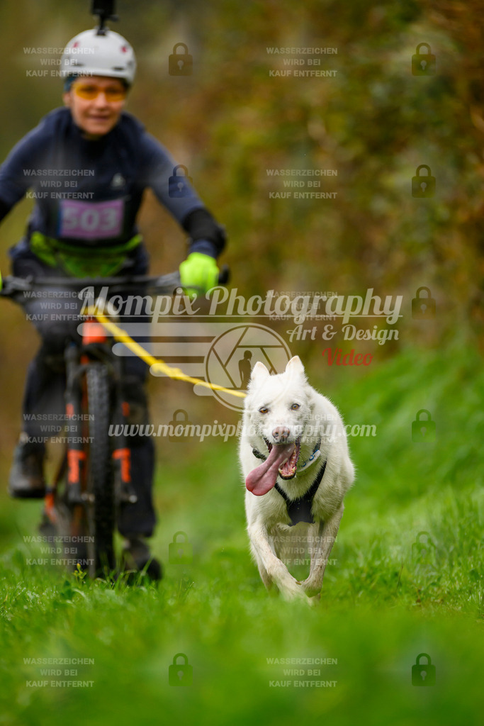 MompixPhotography_20TSB_E8_Bike-52 | PayLife