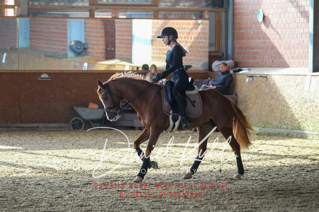 DKP42608 | Turniersportfotografie; Pferdefotografie; Dressurfotografie