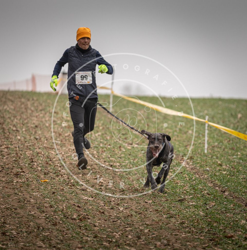 Pfotenfotografie_DV3A4949 | Hundefotografie, Tierfotograf, Pfotenfotografie, Fotoshooting Hund, Hunde Portrait, Hundesport, Hundeportraits, Heideshooting, Hunde, Sportfotograf, Hundefotograf, Turnierhundsport, THS,  - Realisiert mit Pictrs.com