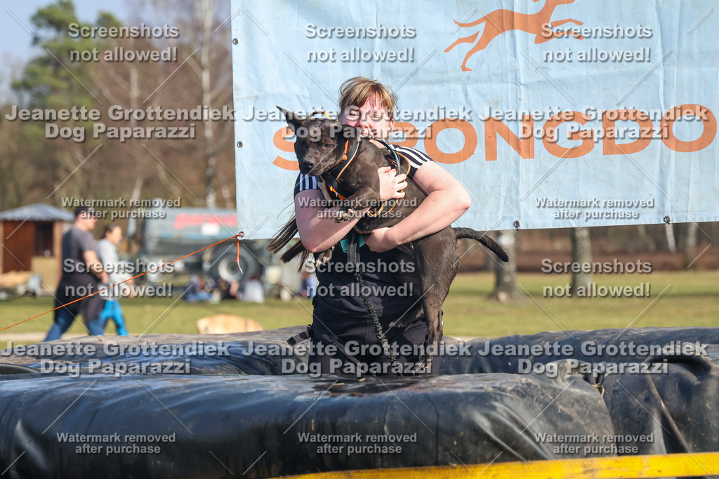 Dog Paparazzi - Strongdog North Mrz26-2999-2 | Dog Paparazzi Jeanette Grottendiek Fotografie & Videografie - Realisiert mit Pictrs.com