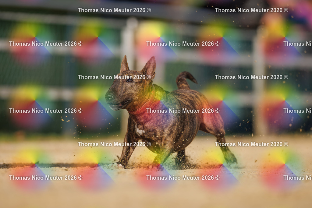 Thomas_Nico_Meuter(C)_03. Oktober 2026_223A2526 | Bild von Thomas Nico Meuter - Realisiert mit Pictrs.com