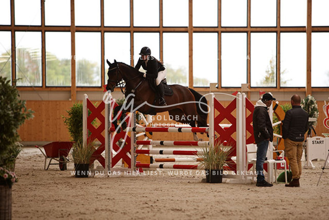 1J2A2461Elli Gruhlke_ Levito 21_ Kn340_ Hohen Wieschendorf_ Glantz | Foto- und Videografie für alles rund ums Pferd. Hochwertige Bilder und Videos vom Spring- und Dressurreiten, Voltigieren & mehr. Jetzt aktuelle Veranstaltungen und Preise im Shop ansehen. - Realisiert mit Pictrs.com