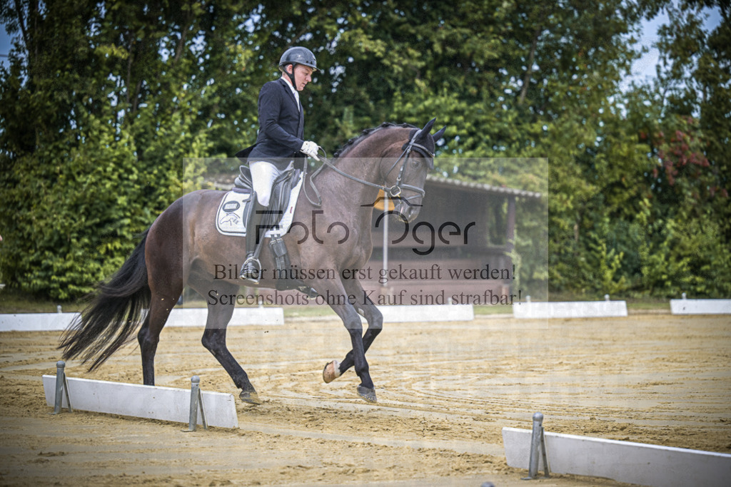 DOS_0792 | Entdecke hochwertige Reitturnierfotos von Foto Oger. Professionell, emotional und authentisch – jetzt Lieblingsmomente im Shop bestellen.Deutschlandweite Turnierfotografie. - Realisiert mit Pictrs.com