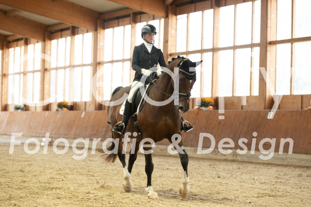 IMG_2605 | Creatify Fotografie