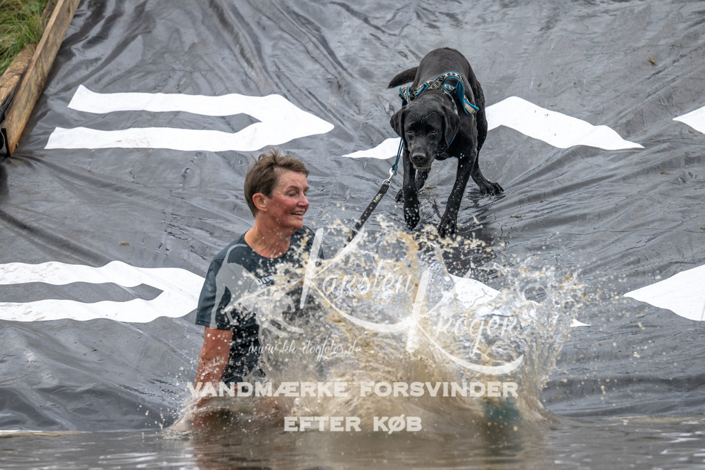 1331_ZZ92241 | kk-dogfotos
