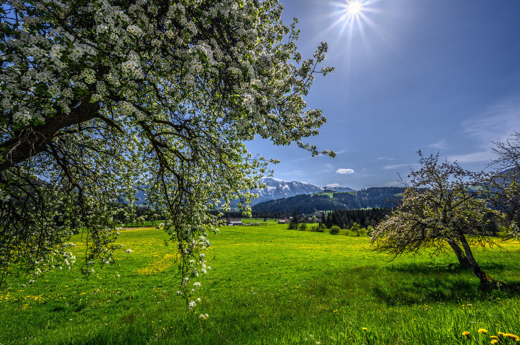 RRF_3908-HDR | Fotografie die berührt. - Realisiert mit Pictrs.com