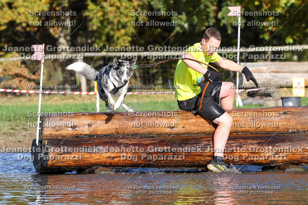 Dog Paparazzi - Strongdog 10-25-8670 | Dog Paparazzi Jeanette Grottendiek Fotografie & Videografie - Realisiert mit Pictrs.com
