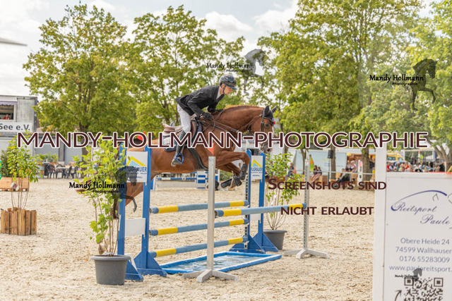 26-7-23 SPR A++-856 | mandyhollmannphotographie