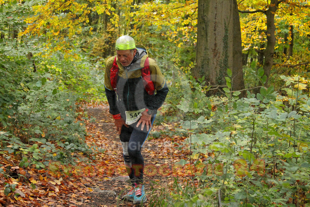 251026_1336_EV4_6985 | Sportfotografie im Rhein-Sieg Kreis, Köln, Bonn, NRW, Rheinland Pfalz, Hessen, etc. Unser Tätigkeitsfeld umfasst den Laufsport vom Volkslauf über den Marathon, Duathlon, Triathon bis zum Ultralauf wie Kölnpfad Ultra oder Schindertrail.