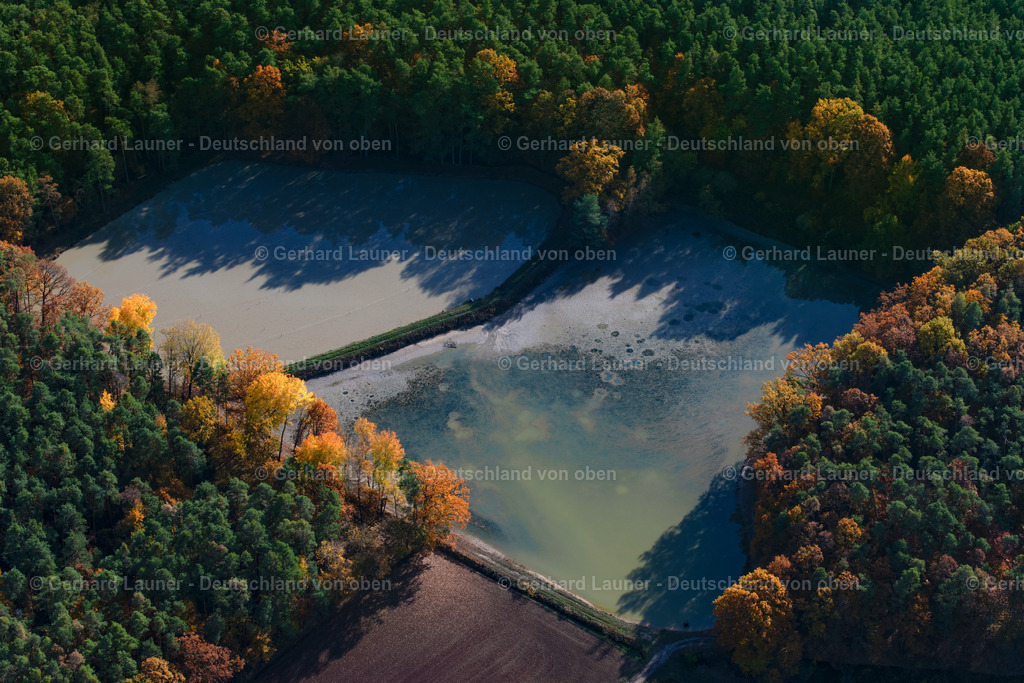 3808133 | Herbstliche Bäume an den Fischteichen bei Adelsdorf