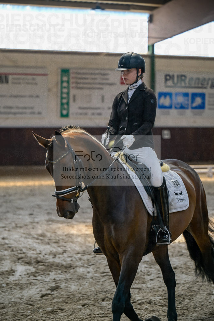 Reitturnier Voxtrup | Entdecke hochwertige Reitturnierfotos von Foto Oger. Professionell, emotional und authentisch – jetzt Lieblingsmomente im Shop bestellen.Deutschlandweite Turnierfotografie. - Realisiert mit Pictrs.com
