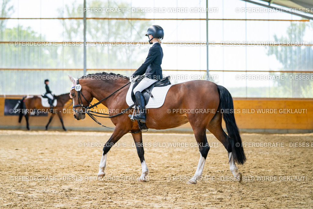 DSC00911 | Pferdegrafie