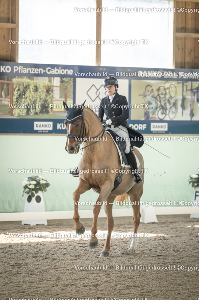 _D5A1389 | Emotionale Pferde- & People-Fotografie rund um Heidelberg, Leimen & Umgebung. Natürliche Fotos von Pferd, Mensch & Familie. Jetzt Termin sichern!