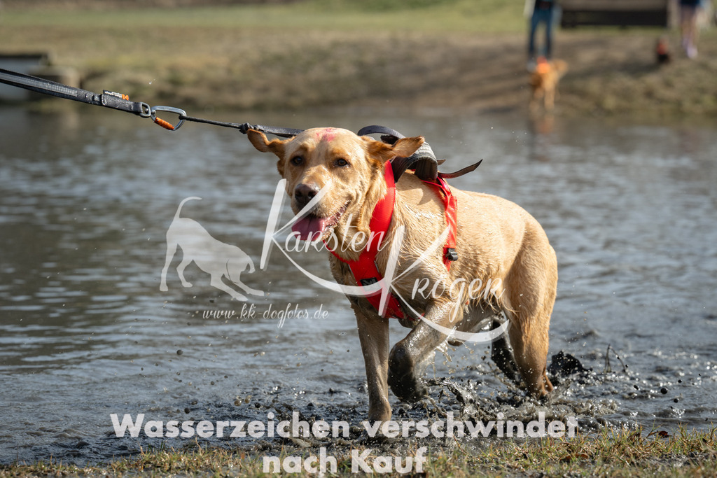 1256_ZZ93060 | kk-dogfotos