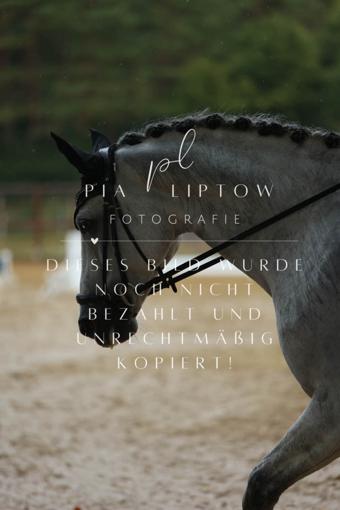 IMGM9125 | pl-fotografie