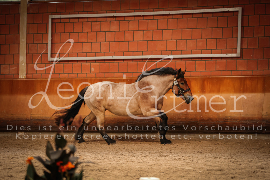 SaFL00309 | Leoni Ertmer Photography - Realisiert mit Pictrs.com