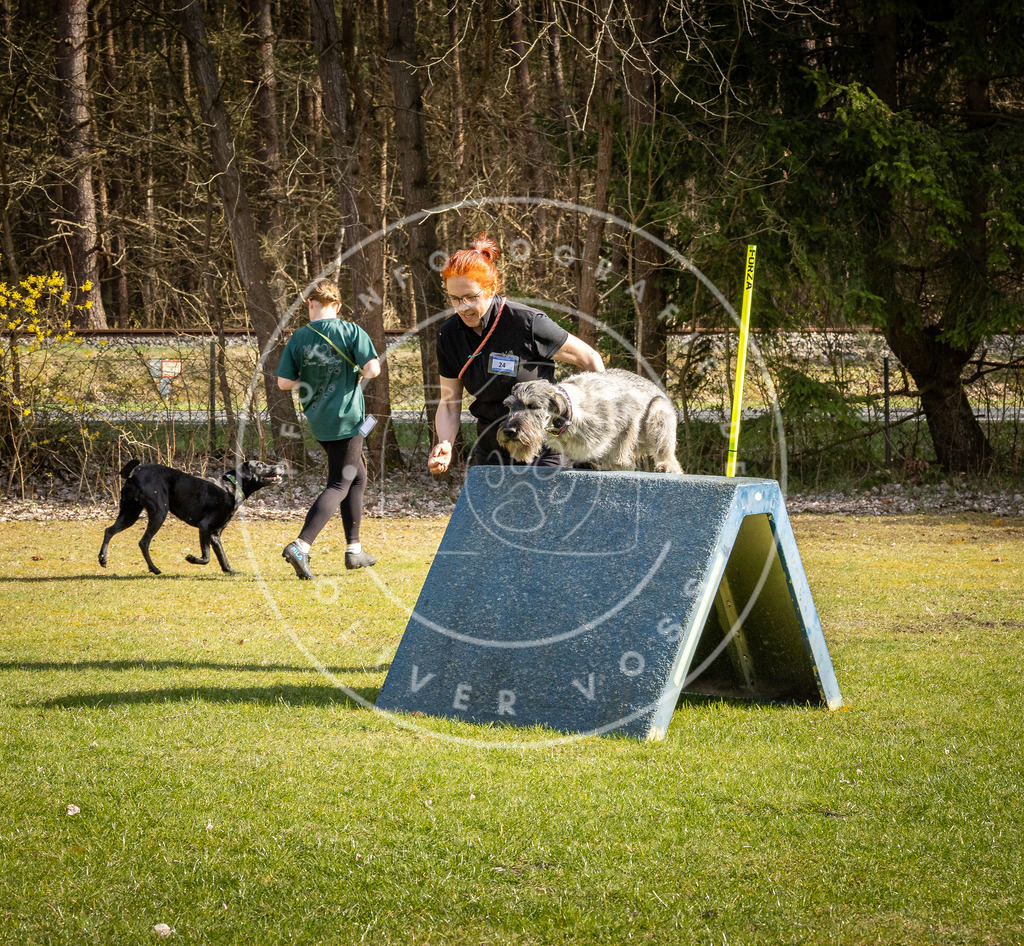 Pfotenfotografie_DV3A2122 | Hundefotografie, Tierfotograf, Pfotenfotografie, Fotoshooting Hund, Hunde Portrait, Hundesport, Hundeportraits, Heideshooting, Hunde, Sportfotograf, Hundefotograf, Turnierhundsport, THS,  - Realisiert mit Pictrs.com