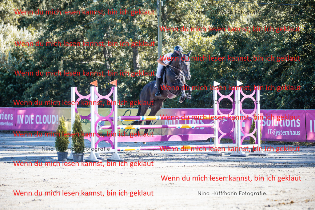 BK1A5995 | Turnierbilder Turnierfotos Nina Hüffmann Turnierfotografie Pferdefotografie Tierzeichnung Haustierzeichnung Pferdezeichnung Hundezeichnung Videograf  - Realisiert mit Pictrs.com