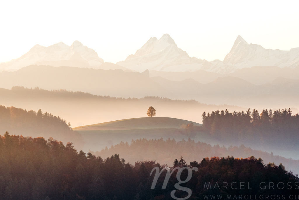 mystischer Sonnenaufgang mit | Die ideale Geschenkidee für Naturliebhaber. Naturbilder von Marcel Gross Photography für ihr Zuhause in den verschiedensten Formaten und Materialien. - Realisiert mit Pictrs.com