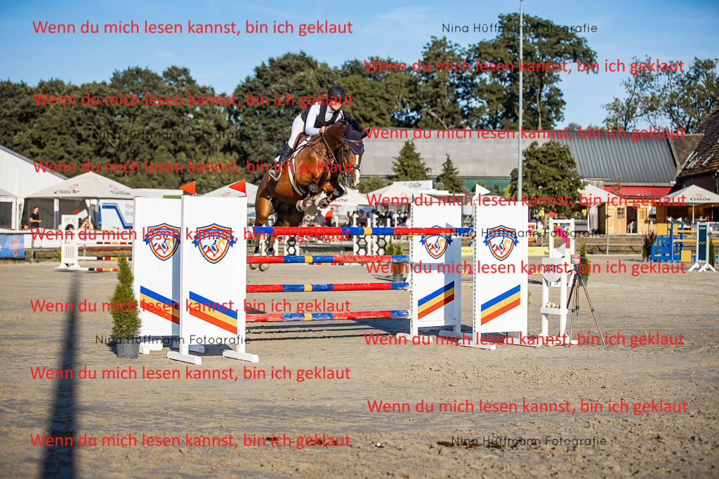 BK1A8816 | Turnierbilder Turnierfotos Nina Hüffmann Turnierfotografie Pferdefotografie Tierzeichnung Haustierzeichnung Pferdezeichnung Hundezeichnung Videograf  - Realisiert mit Pictrs.com