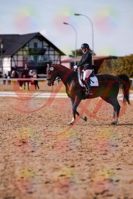 2026_10_03_Siefer-Hof_132607_Z81_78980039 | Professionelle Reitsport-, Turnier- und Eventfotografie von Robert Broda. Galerien mit ausgewählten und bearbeiteten Bildern direkt online ansehen und bestellen.