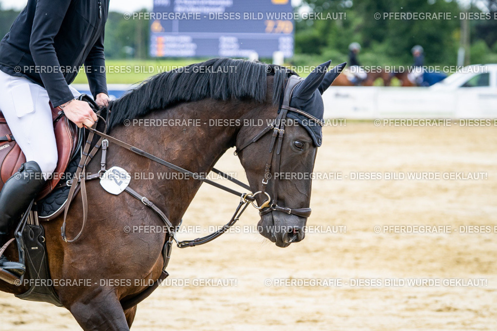 DSC04673 | Pferdegrafie