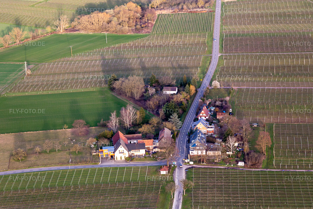 Luftbild: Windhof, grüne Grenze nach Frankreich in Schweighofen im Bundesland Rheinland-Pfalz in Deutschland. Foto: IMG_126155.jpg vom 20.03.2021 durch Werner Riehm/FLY-FOTO.de